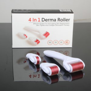 4 in 1 Derma Roller