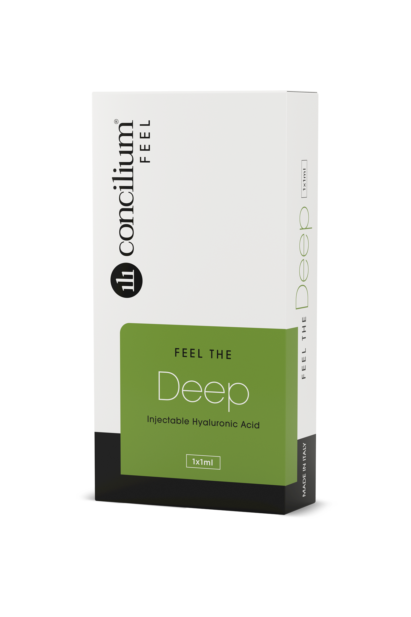 Concilium-FEEL-DEEP
