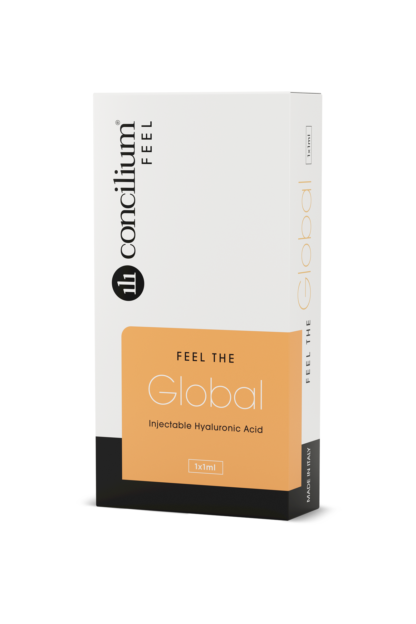 Concilium-FEEL-GLOBAL